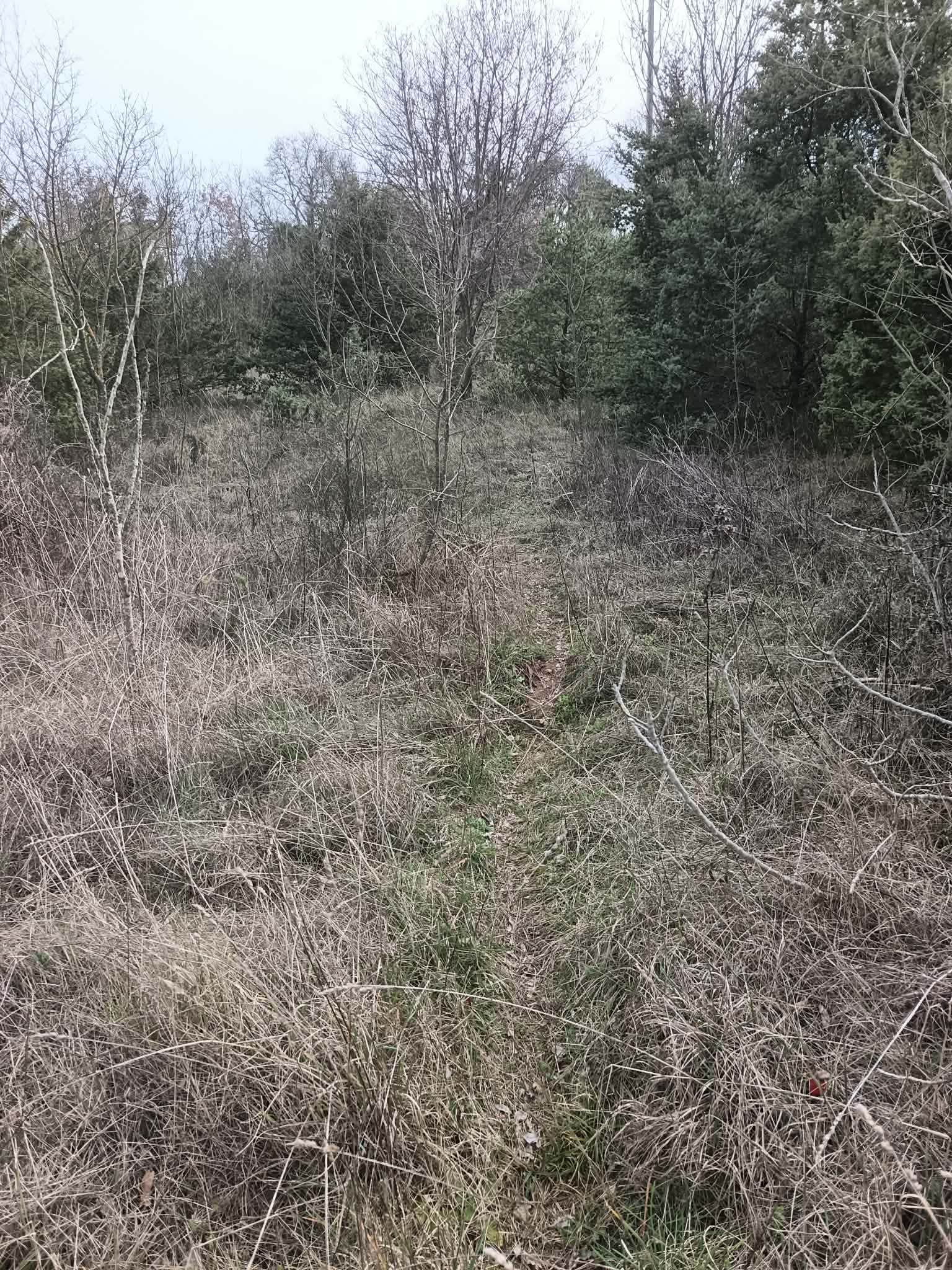 Građevinska zemljišta s pogledom na more – Rakalj (550 m² - 850 m²)