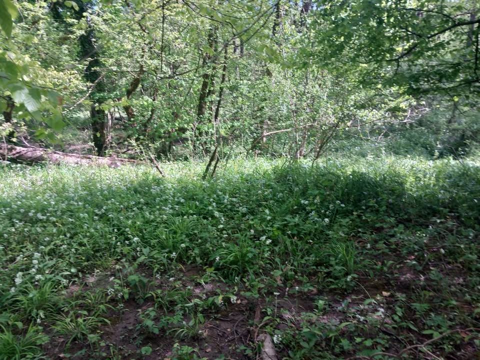 Poljoprivredna zemljišta - Skrad – Investicijska prilika u blizini rijeke