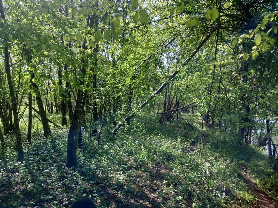Poljoprivredna zemljišta - Skrad – Investicijska prilika u blizini rijeke