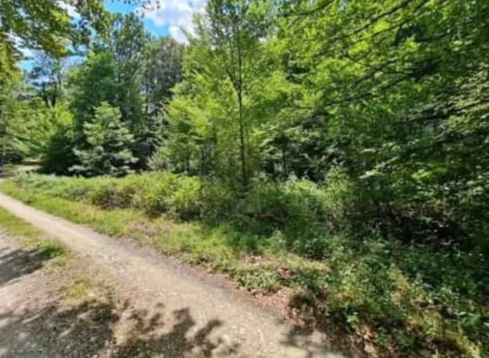 Veliko poljoprivredno zemljište (10.229 m²) – Bukovlje, Generalski Stol (blizu Mrežnice)