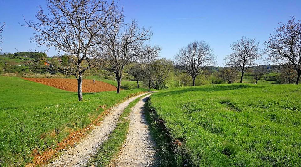 Zemljište blizu Mrežnice (6.319 m²) – Galović Selo, Duga Resa